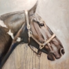 Paintings