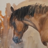 Paintings