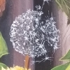 'Secret garden' Panel on wall, Nottingham